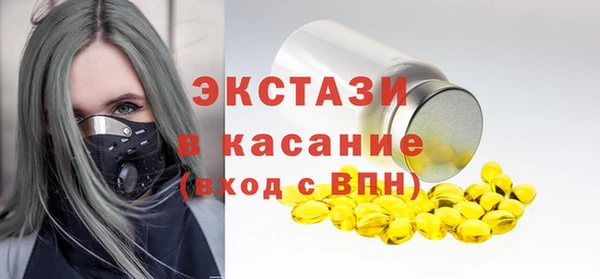 твердый Новозыбков
