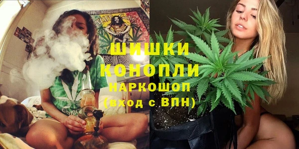 твердый Новозыбков