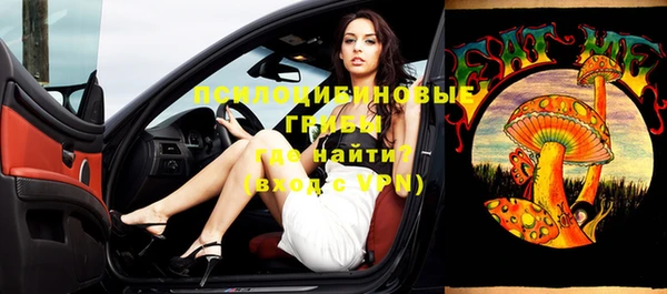 твердый Новозыбков